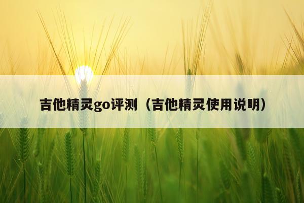 吉他精灵go评测（吉他精灵使用说明）