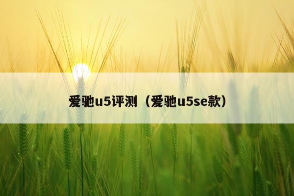 爱驰u5评测（爱驰u5se款）
