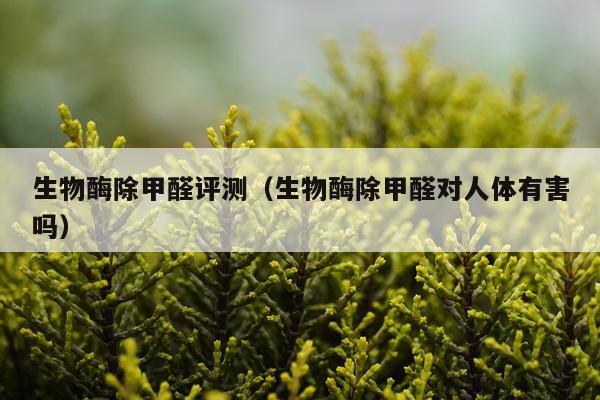 生物酶除甲醛评测（生物酶除甲醛对人体有害吗）