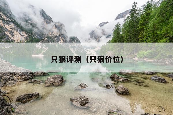 只狼评测（只狼价位）