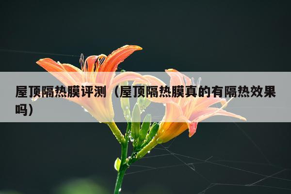 屋顶隔热膜评测（屋顶隔热膜真的有隔热效果吗）