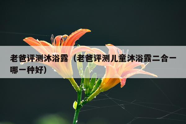 老爸评测沐浴露（老爸评测儿童沐浴露二合一哪一种好）