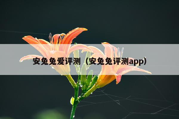 安兔兔爱评测（安兔兔评测app）