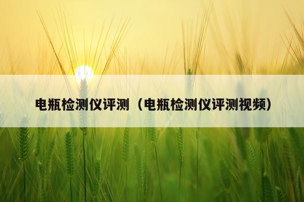 电瓶检测仪评测（电瓶检测仪评测视频）