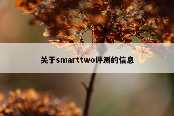关于smarttwo评测的信息