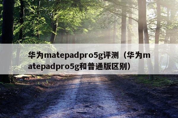 华为matepadpro5g评测（华为matepadpro5g和普通版区别）