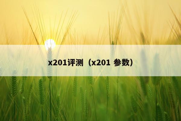 x201评测（x201 参数）