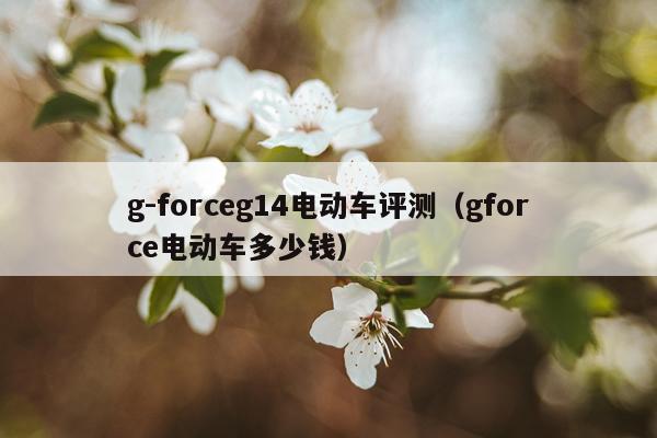 g-forceg14电动车评测（gforce电动车多少钱）