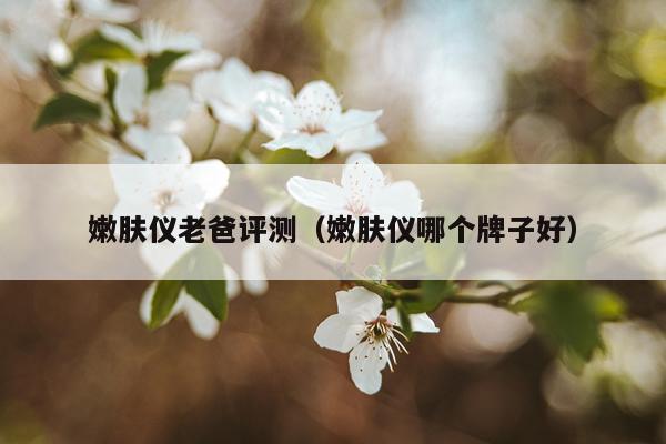 嫩肤仪老爸评测（嫩肤仪哪个牌子好）