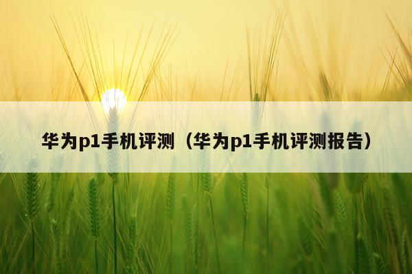 华为p1手机评测（华为p1手机评测报告）