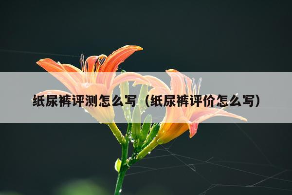 纸尿裤评测怎么写（纸尿裤评价怎么写）