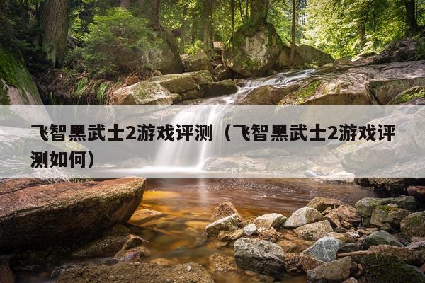 飞智黑武士2游戏评测（飞智黑武士2游戏评测如何）