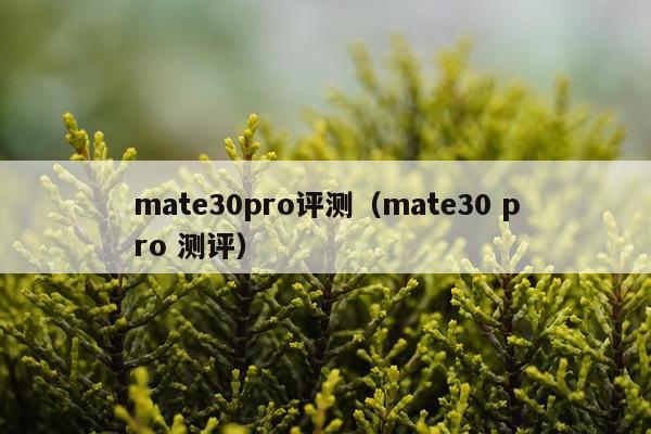 mate30pro评测（mate30 pro 测评）