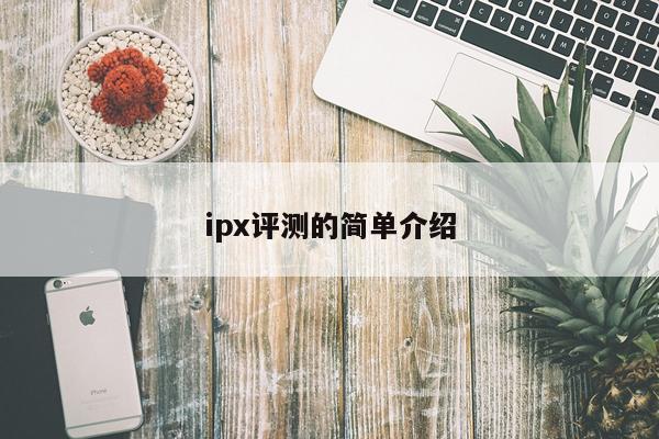 ipx评测的简单介绍