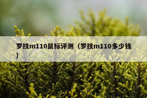 罗技m110鼠标评测（罗技m110多少钱）