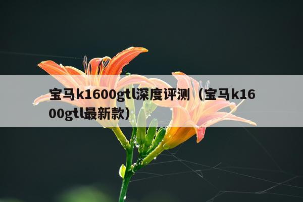 宝马k1600gtl深度评测（宝马k1600gtl最新款）