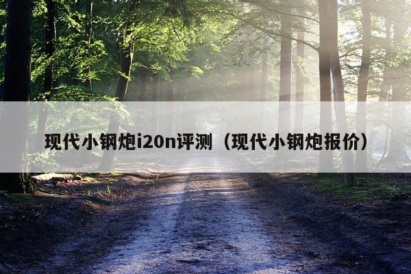现代小钢炮i20n评测（现代小钢炮报价）