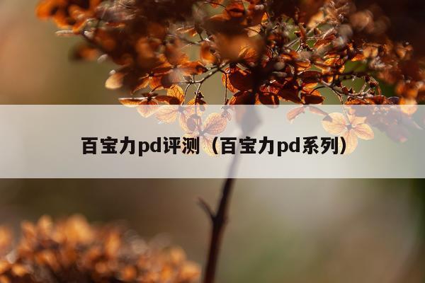 百宝力pd评测（百宝力pd系列）