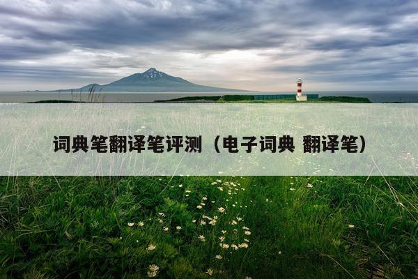 词典笔翻译笔评测（电子词典 翻译笔）