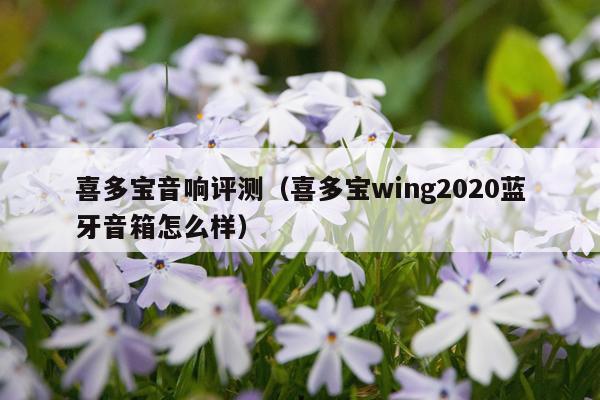 喜多宝音响评测（喜多宝wing2020蓝牙音箱怎么样）