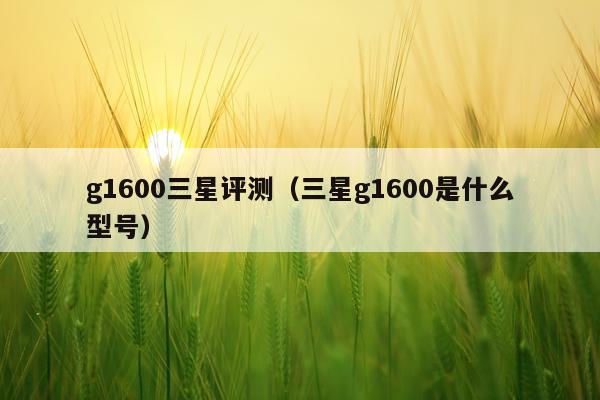 g1600三星评测（三星g1600是什么型号）