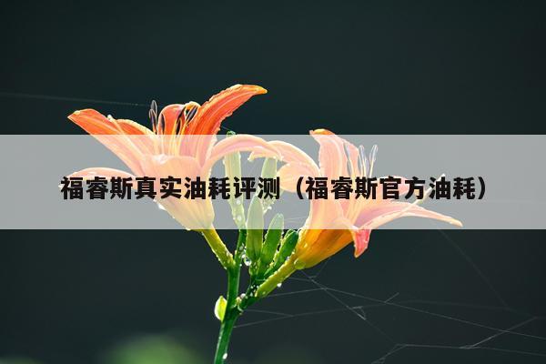 福睿斯真实油耗评测（福睿斯官方油耗）