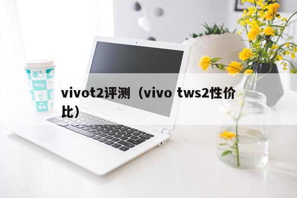 vivot2评测（vivo tws2性价比）