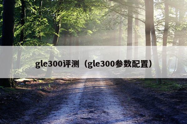gle300评测（gle300参数配置）
