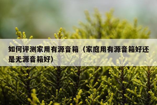 如何评测家用有源音箱（家庭用有源音箱好还是无源音箱好）