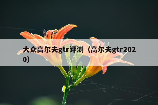 大众高尔夫gtr评测（高尔夫gtr2020）