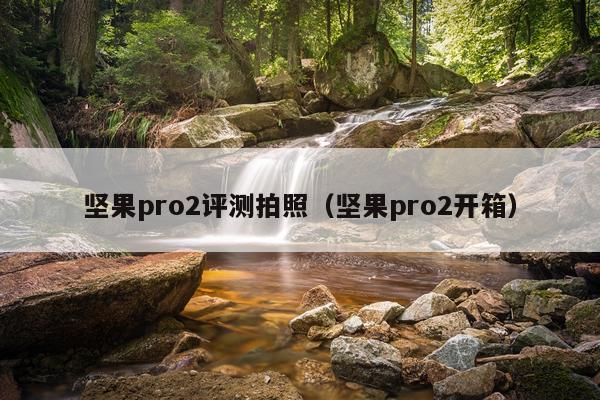 坚果pro2评测拍照（坚果pro2开箱）