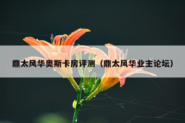 鼎太风华奥斯卡房评测（鼎太风华业主论坛）