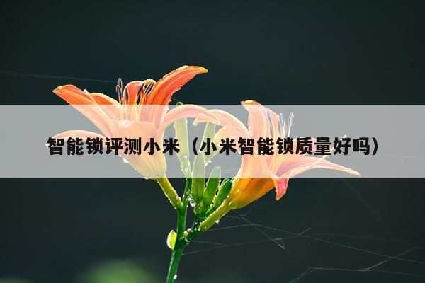 智能锁评测小米（小米智能锁质量好吗）