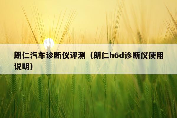 朗仁汽车诊断仪评测（朗仁h6d诊断仪使用说明）