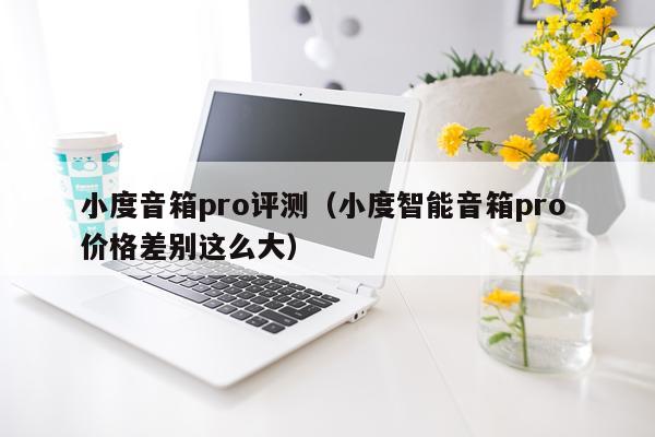 小度音箱pro评测（小度智能音箱pro 价格差别这么大）