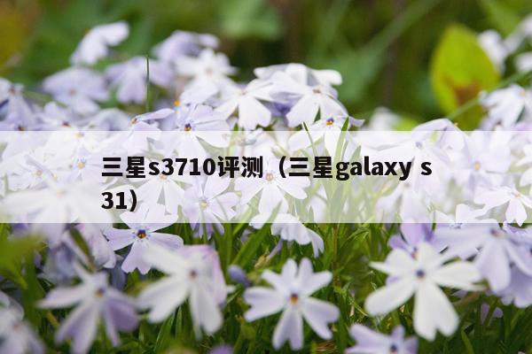 三星s3710评测（三星galaxy s31）