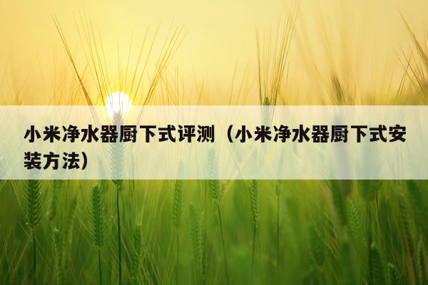 小米净水器厨下式评测（小米净水器厨下式安装方法）