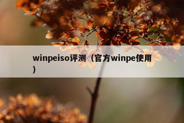 winpeiso评测（官方winpe使用）