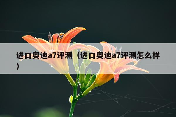 进口奥迪a7评测（进口奥迪a7评测怎么样）