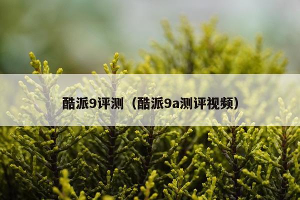 酷派9评测（酷派9a测评视频）
