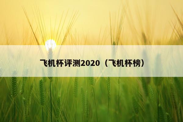飞机杯评测2020（飞机杯榜）