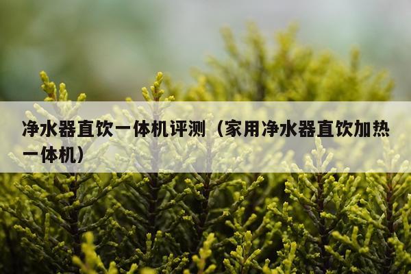 净水器直饮一体机评测（家用净水器直饮加热一体机）