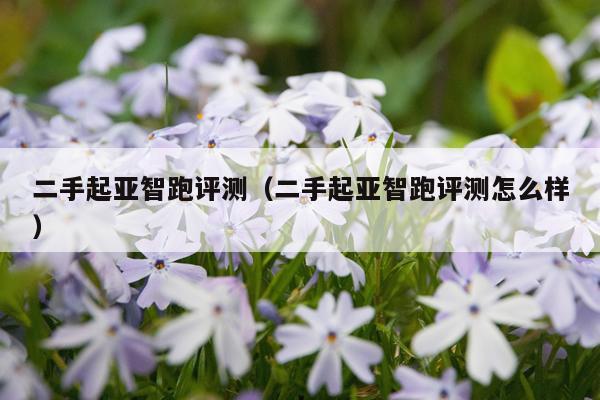 二手起亚智跑评测（二手起亚智跑评测怎么样）
