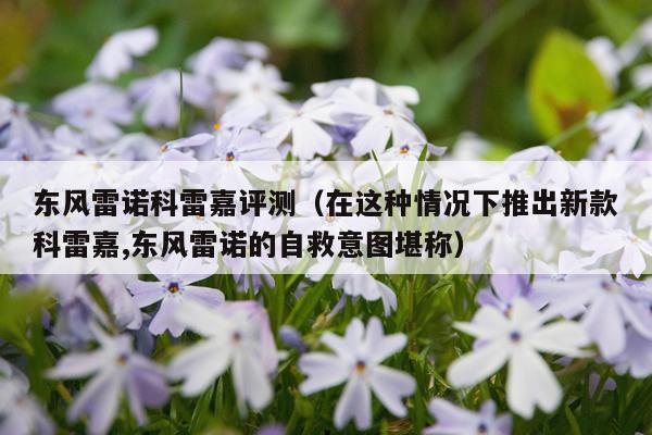 东风雷诺科雷嘉评测（在这种情况下推出新款科雷嘉,东风雷诺的自救意图堪称）