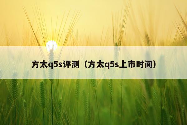 方太q5s评测（方太q5s上市时间）