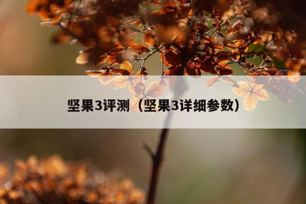 坚果3评测（坚果3详细参数）
