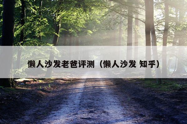 懒人沙发老爸评测（懒人沙发 知乎）