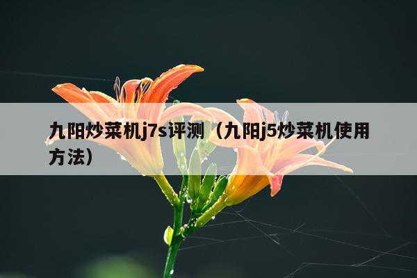 九阳炒菜机j7s评测（九阳j5炒菜机使用方法）