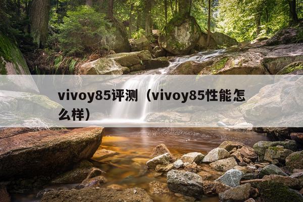 vivoy85评测（vivoy85性能怎么样）