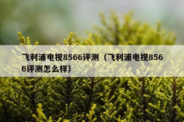 飞利浦电视8566评测（飞利浦电视8566评测怎么样）